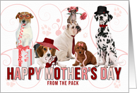 For Mom on Mother’s Day from the Pack Dogs in Pink and Red card