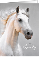 Pet Sympathy Loss of a Horse White Horse on Gray card