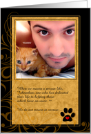 Memorial Service Invitation for Cat Lover in Gold and Black card