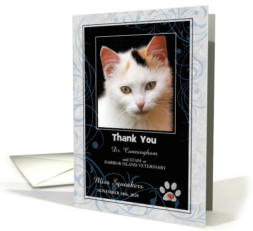 Veterinarian Thank You Blue Gray and Black with Pet's Photo Blank card