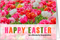 for Grandmother on Easter Pink Tulip Garden card