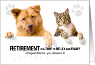 Veterninary Retirement Congratulations for the Animal Doctor card