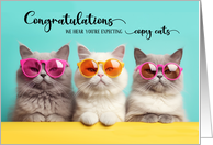 Congratulations Expecting Triplets Three Cats in Sunglasses card