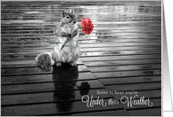 Get Well Squirrel with Carnation Black and White card