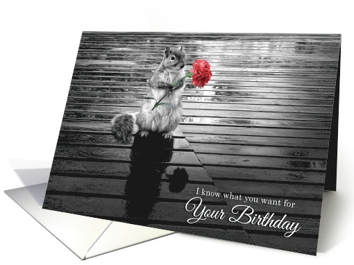 Birthday Squirrel with Carnation Black and White card (1067839)