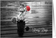 Missing You Squirrel with Carnation Black and White card