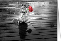 Squirrel with Carnation Black and White Blank Any Occasion card