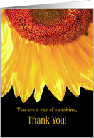 Thank You Sunflower Ray of Sunshine card