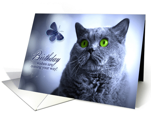 Birthday Wishes Russian Blue Cat with Butterfly card (1175486)
