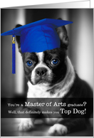 Master of Arts Degree Graduate Boston Terrier Dog card