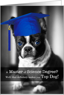 Master of Science Degree Graduate Boston Terrier Dog card