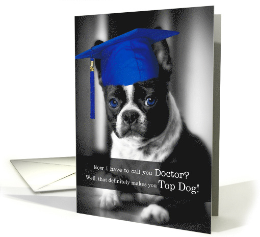 Veterinary Graduate Congratulations Boston Terrier card (1290760)