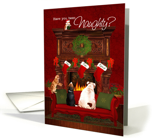 Naughty or Nice? Pets Waiting for Santa card (1314358)