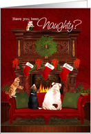 Naughty or Nice? Pets Waiting for Santa card