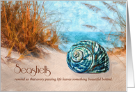 Sympathy Seashell on the Beach Watercolor card