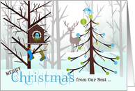 1st Christmas from the Newlyweds Wild Birds in Winter card