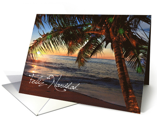 Spanish Feliz Navidad Christmas Lit Palm Tree on the Beach card