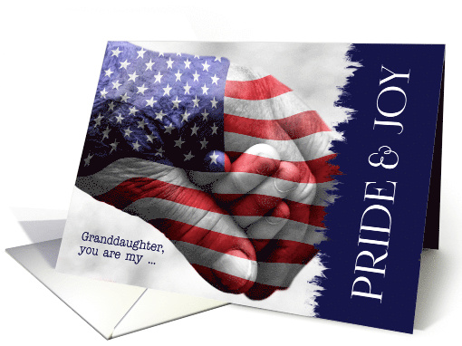 for Granddaughter Birthday Military Pride and Joy card (1385028)