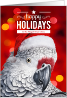 for Veterinarian African Gray Parrot Happy Holidays card