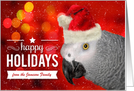 African Gray Parrot Happy Holidays Custom card