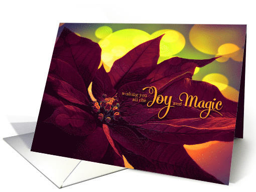 Wine Colored Poinsettia Holiday Joy and Magic card (1411588)