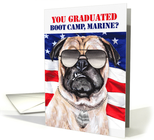 Marine Boot Camp Graduate Funny Grumpy Pug Dog card (1432836)