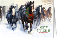Wild Horses Western Merry Christmas with Custom Text card