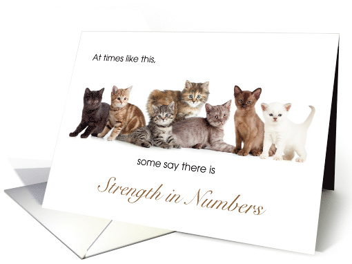 Cat with Cancer Encouragement for Pet Owner card (1469172)