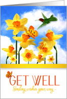 Get Well Daffodil Garden with Hummingbird card