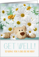 for Kids Get Well Teddy Bear and White Daisy Garden card