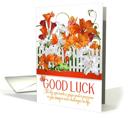 Good Luck Lily Garden with Frog and Butterflies card (1483690)