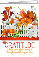 Gratitude Lily Garden Thank You Message Orange Lilies card