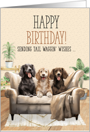 Dog Lover Birthday Three Dogs on a Sofa Tali Waggin’ Wishes card