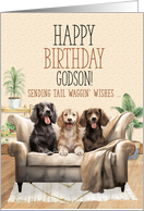 for Godson Birthday Three Dogs on a Sofa Tali Waggin’ Wishes card