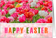 HAPPY EASTER Colorful Tulip Garden Pink Orange and White card