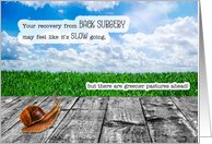 Back Surgery Get Well Snail Pace with Greener Pastures Ahead card
