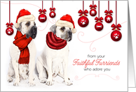 for Pet Groomer Christmas Bordeaux Dogs with Red Hats card