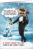 Funny Cupid Reindeer with Love and Romance Humor card