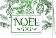 Noel Christmas Typography in Green and White Pine Branches card