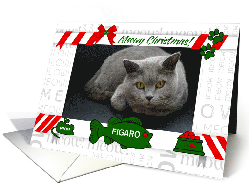 from the Cat Meowy Christmas with Pet's Photo and Name card (1544022)