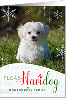 Fleas NaviDOG Funny Dog Lover Christmas Photo with Custom Text card