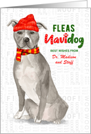 Gray American Staffordshire Terrier Fleas Navidog Christmas Custom card