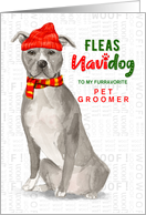 for Pet Groomer Gray Staffordshire Terrier Fleas Navidog Christmas card