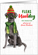 Black Lab Funny Fleas Navidog Christmas in Red and Green Custom card