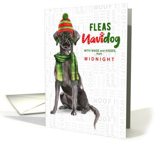 from the Dog Black Lab Funny Fleas Navidog Christmas Custom card