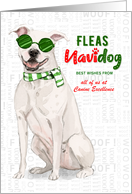 White Pit Bull Funny Fleas Navidog Christmas Custom card