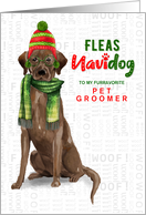 for Groomer Chocolate Lab Funny Fleas Navidog Christmas Custom card
