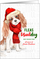 Cavalier King Charles Spaniel Funny Fleas Navidog Christmas Custom card
