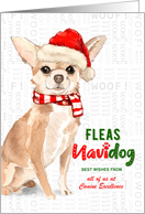 Chihuahua Funny Fleas Navidog Christmas Custom card