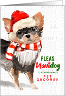 Pet Groomer Long Haired Chihuahua Fleas Navidog Christmas Custom card